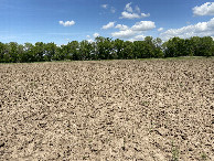 #4: View to the north from the confluence point. 