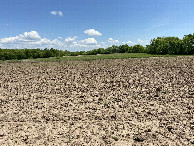 #5: View to the east from the confluence point. 