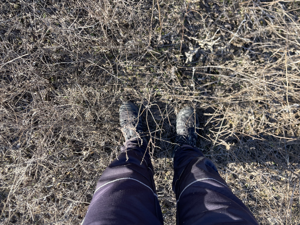 Ground cover