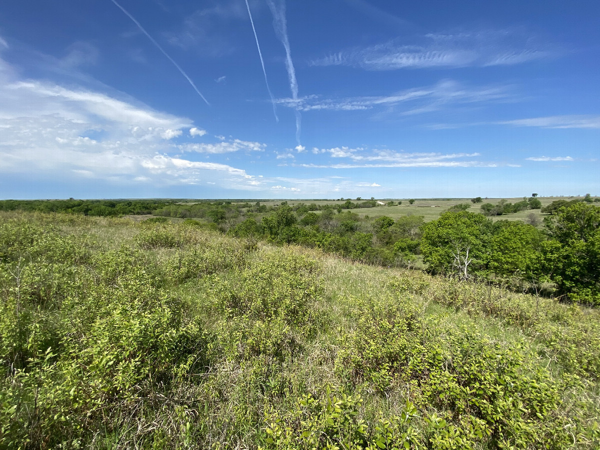 View to the west from the confluence point. 