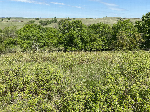 #1: The site of 38 North 96 West, in the foreground, looking northwest.