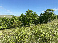 #4: View to the north from the confluence point. 