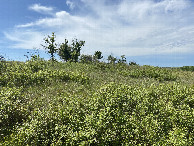 #6: View to the south from the confluence point. 