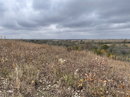 #1: View SW toward the confluence in the foreground