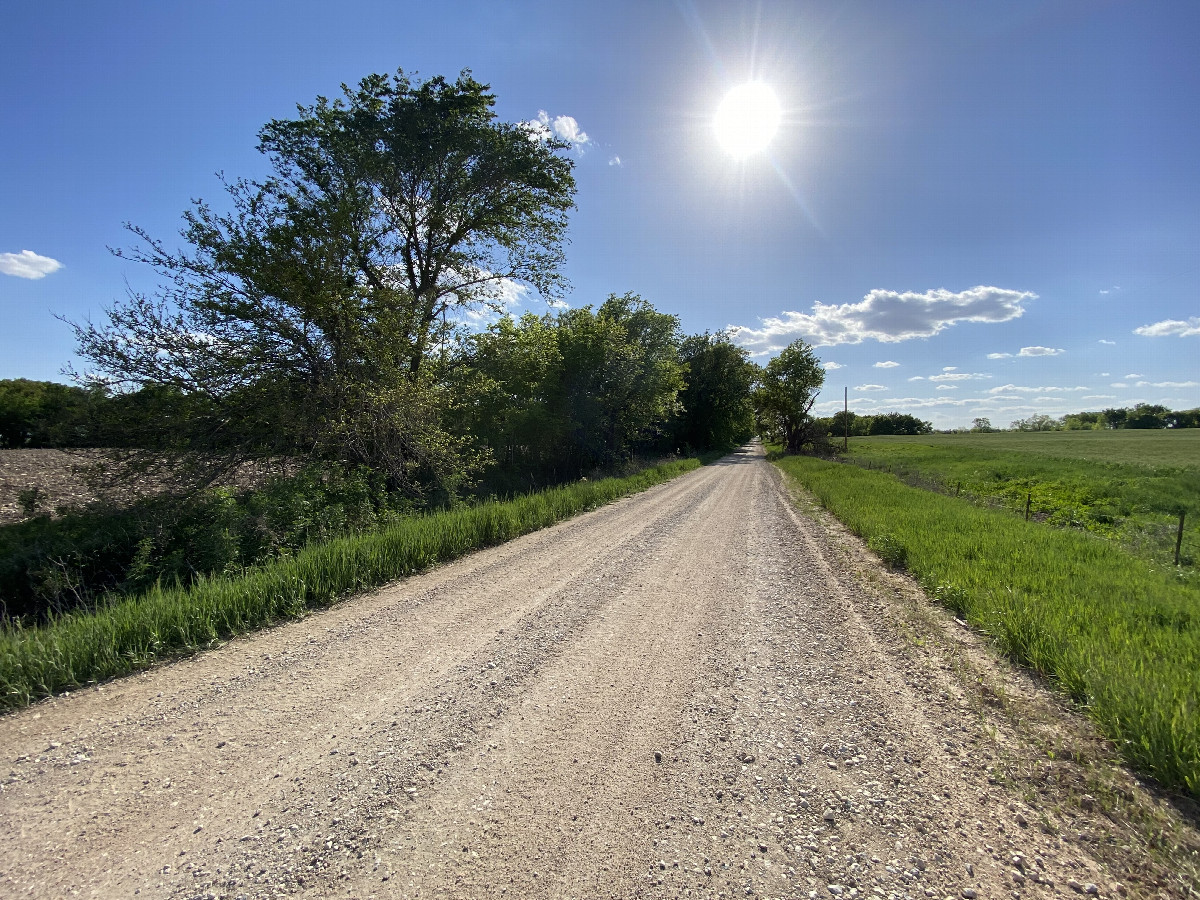 Nearest road to the confluence point, looking due west. 