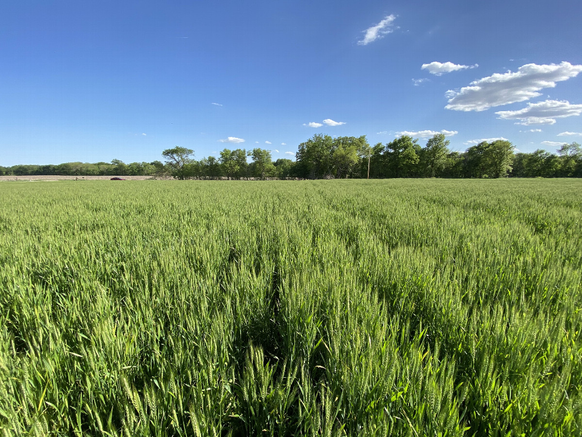 View to the south from the confluence point. 