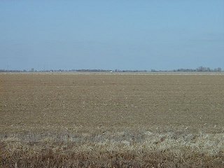 #1: Picture of the confluence - about 60 steps in from the road