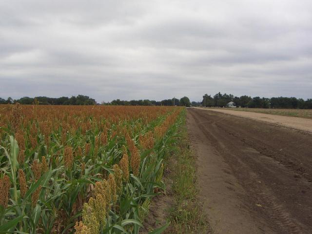 Looking east along Morgan Ave.