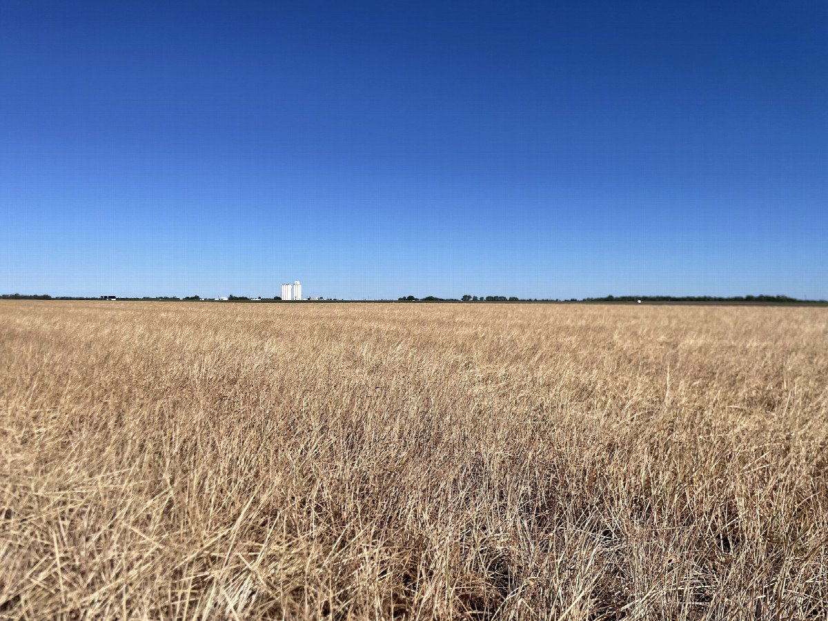 View to the northwest, confluence in the foreground