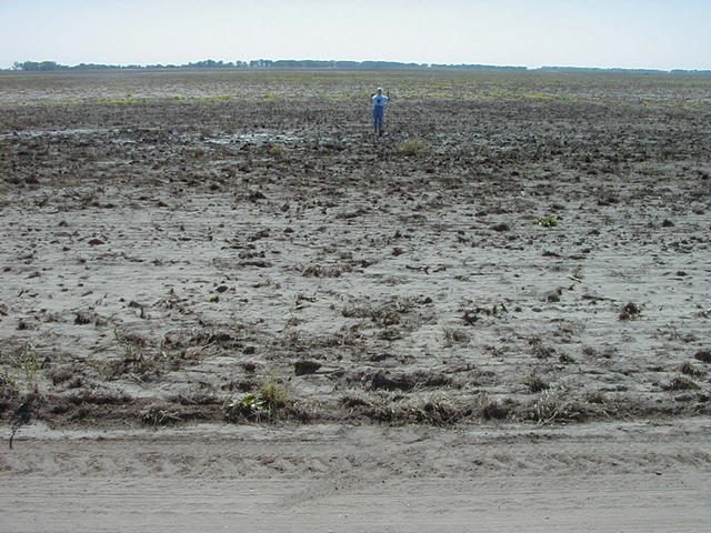 Looking south from the road, Jean is on the confluence.