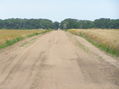 #9: View along the road just north of the confluence, looking east from 99 West Longitude.