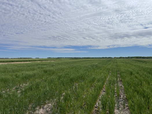 #1: View to the ENE, confluence in the foreground