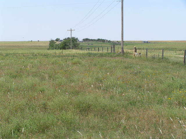 View to the west from the confluence.