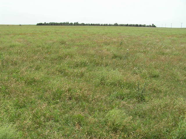 View to the south across the wide open spaces of Kansas.