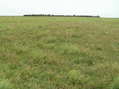 #3: View to the south across the wide open spaces of Kansas.