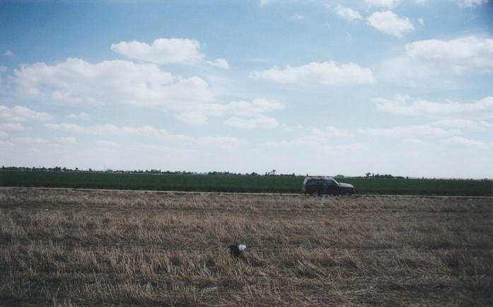 Looking south, the greenery is alfalfa with the trees of Holcomb on the horizon.