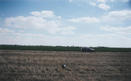 #2: Looking south, the greenery is alfalfa with the trees of Holcomb on the horizon.