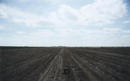 #4: Looking west, the hump on the horizon is the IBP, Inc., Finney County Plant.