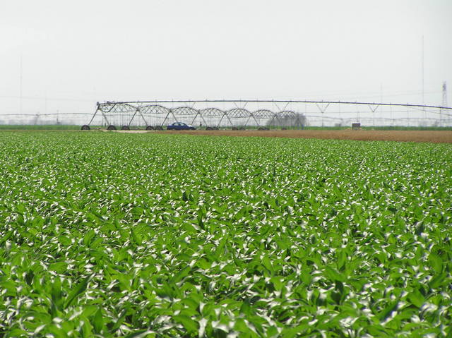 View to the east from the confluence.