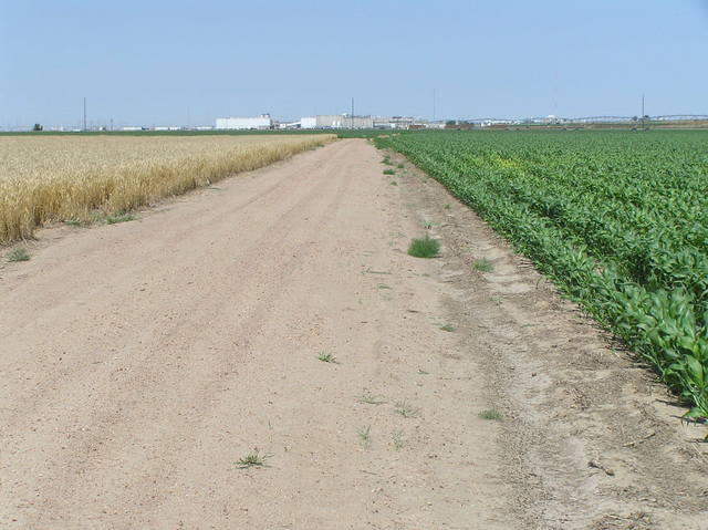 Road about 30 meters south of the confluence, looking due west.