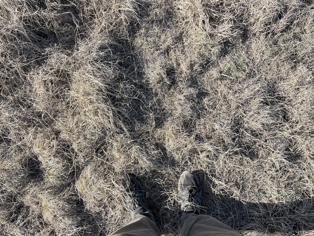 Ground cover