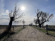 #8: Driveway to the Clutter farmstead