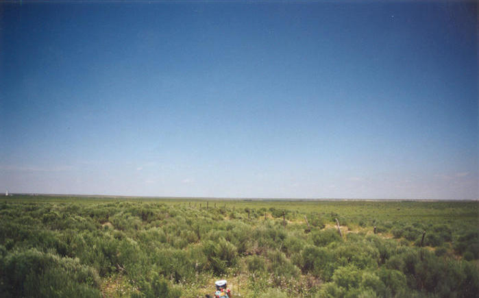 T. McGee Bear facing south at the point.