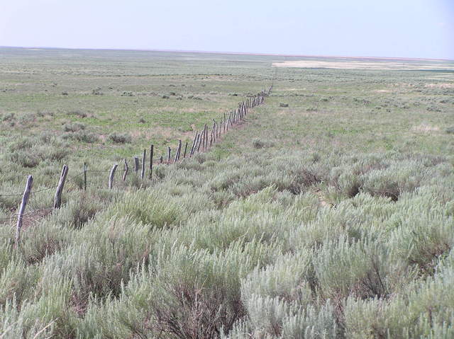 View to the south from 38 North 102 West in extreme western Kansas.