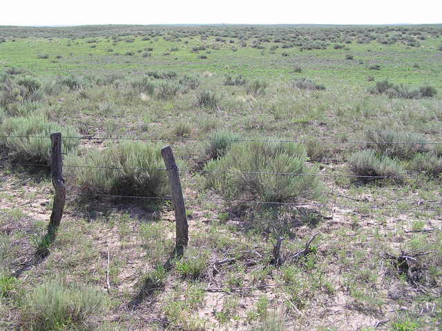 View to the east into Kansas from the confluence.