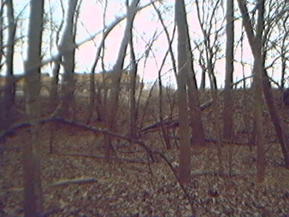 Train stopped on tracks, looking from confluence