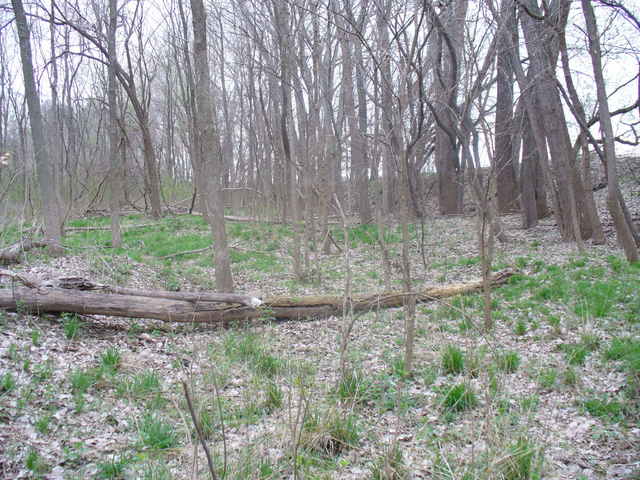 View from site looking west