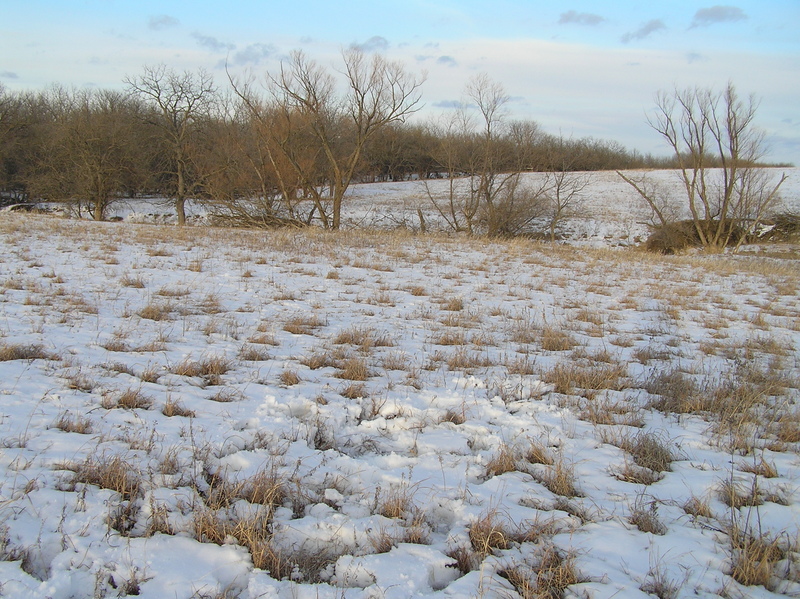 My footprints mark the site of 39 North 96 West, in the foreground, looking northeast.