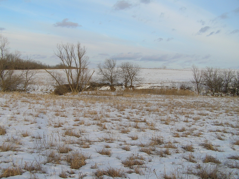 View to the east from the confluence.