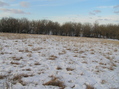 #5: View to the north from the confluence.