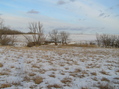 #6: View to the east from the confluence.