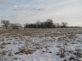 #7: View to the south from the confluence.