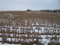 #7: View to the south from the confluence.