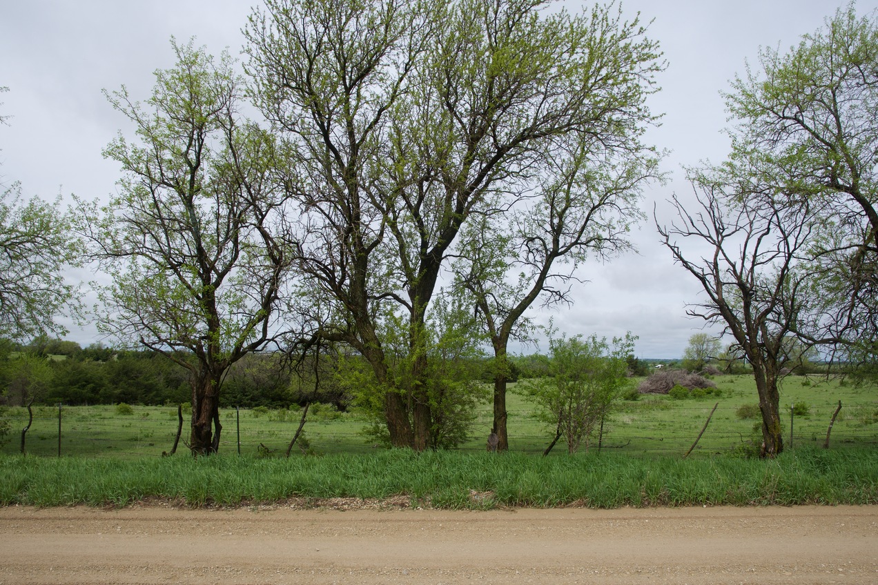 View West across Sage Road, 223 feet West of the point