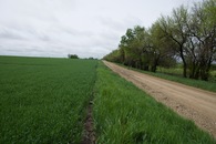 #3: View South along Sage Road, 223 feet West of the point