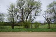 #4: View West across Sage Road, 223 feet West of the point