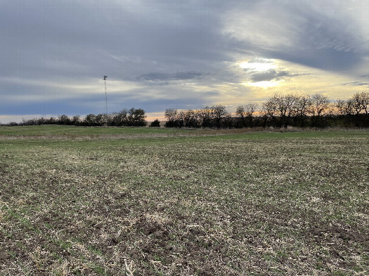 #1: View SW toward the confluence in the foreground