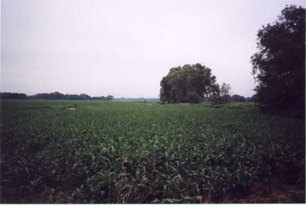 Looking north at the confluence