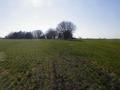 #2: From the confluence point, looking West