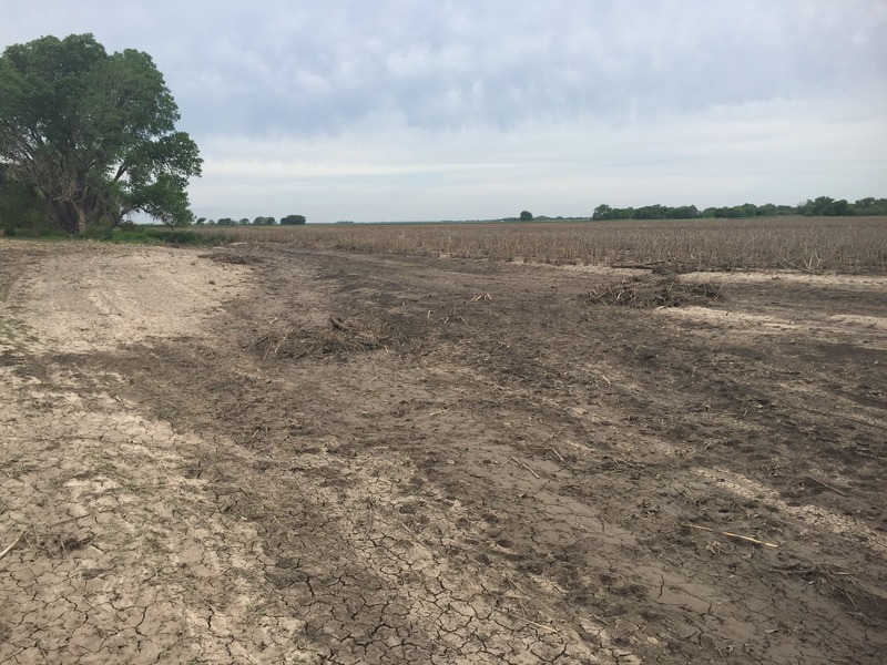 View of the confluence of 39 North 98 West, in the foreground, looking west-northwest.