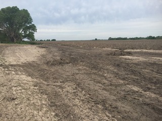 #1: View of the confluence of 39 North 98 West, in the foreground, looking west-northwest.