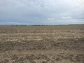 #4: View to the south from the confluence. 