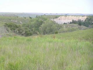 #1: View to the northeast--the Saline River Valley--from 39 North 99 West.