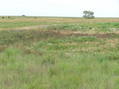 #2: View to the east from the confluence.