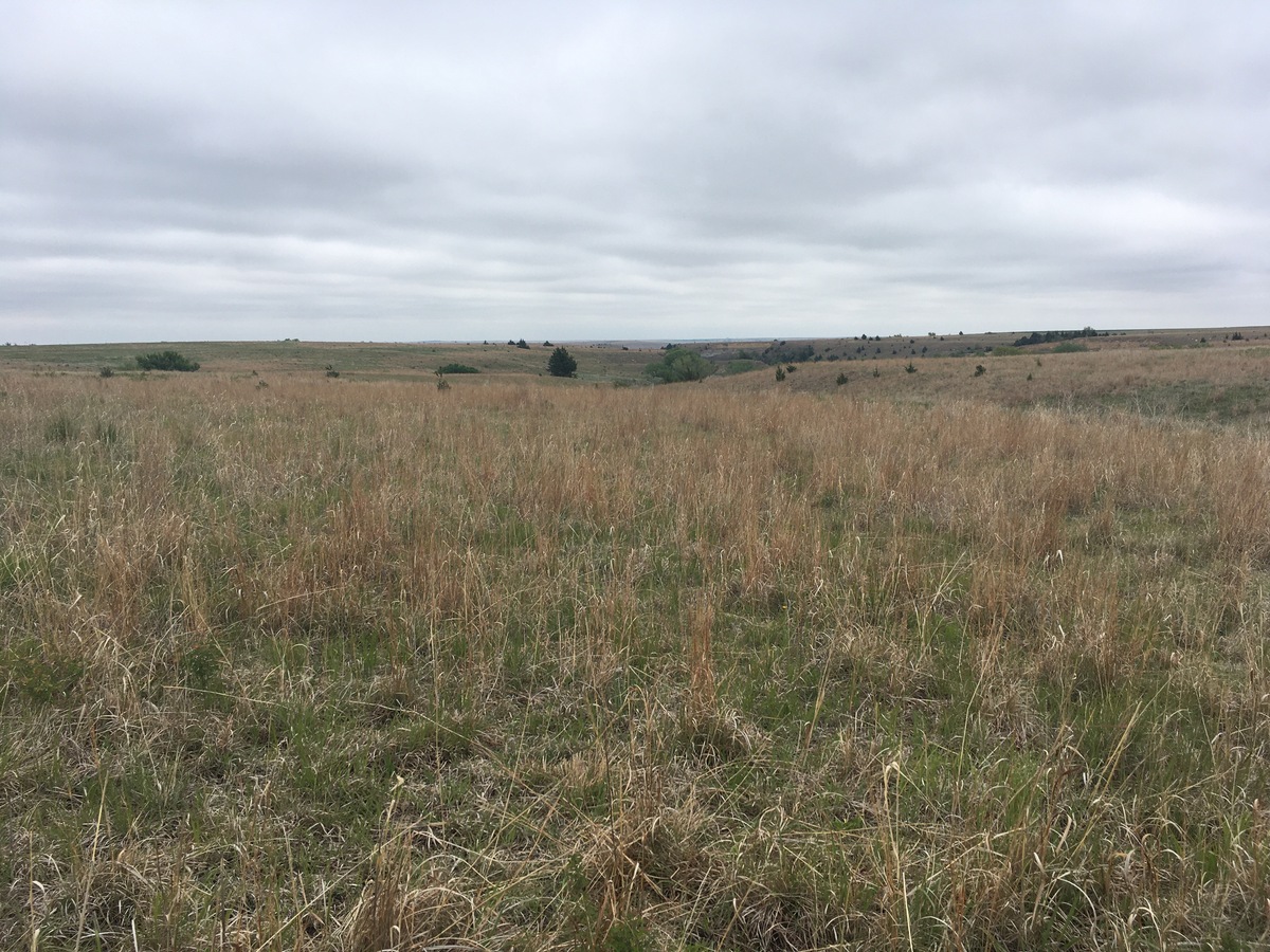 View NE toward the confluence in the foreground