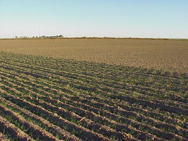 View to the north from the confluence.